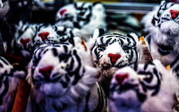 Toys, Miscellanea, Miscellaneous, Blur, Smooth, Tiger, Lots Of, Multitude HD wallpaper