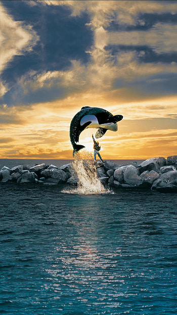 Willy (2022) movie HD phone wallpaper