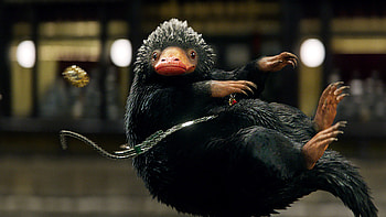 David Yates, Fantastic Beasts, Background , Ethan Mercado HD wallpaper