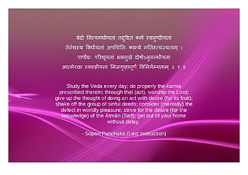 Adi Shankaracharya , Spirituality, Adi Shankaracharya, Hinduism, Spiritual, Adi Shankara HD wallpaper