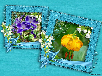 FLOWERS FRAMED, FLOWERS, FRAMED, , TWO HD wallpaper