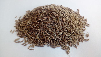 Cumin taste, Aromatic profile, Food blogger, Culinary opinion HD wallpaper