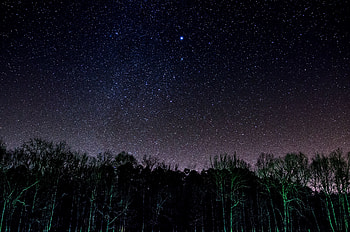 Starry night, stars, sky, trees HD wallpaper