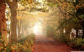 3D Nature Full Screen 8 . HD wallpaper