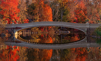Autumn park, USA, Reflection, Central park, Bridge, River HD wallpaper