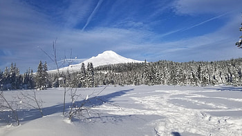 Mt. Hood, Oregon near Trillium Lake, winter, snow, trees, clouds, volcano, landscape, sky, usa HD wallpaper
