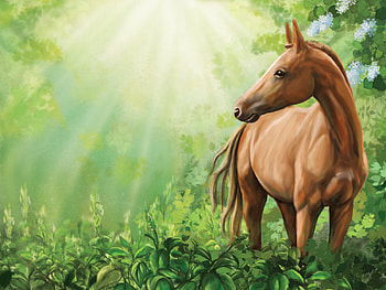 Horse in field., animal, meadow, horse, field HD wallpaper