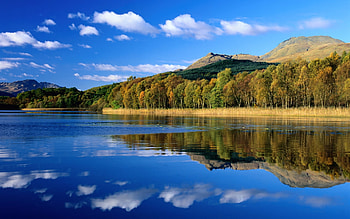Landscape, Rivers, Trees HD wallpaper