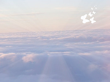 Fly With Me, blue, white, flying, beaming, butterflies, pink, light, airplane, clouds, sky HD wallpaper