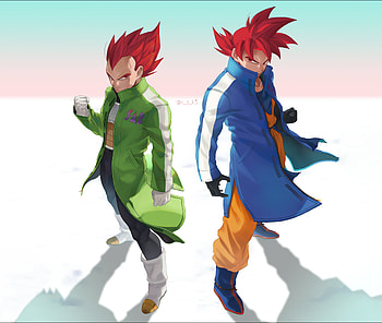 Vageta, DragonBall z, goku, anime, broly, , super saiyan god, dbz, ultra HD wallpaper