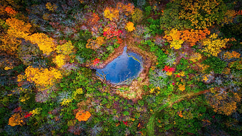 A pond hidden within a forest in southern Wisconsin, colors, trees, autumn, fall, usa HD wallpaper