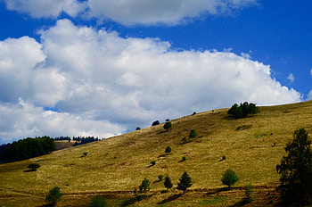 Nature, Grass, Sky, Hill, Elevation HD wallpaper