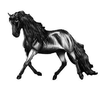 Black Horse, dsg, j, hrt, ht, hts, ehre, eag HD wallpaper