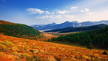 Mammoth, California, usa, hills, clouds, landscape, trees, sky, forest HD wallpaper