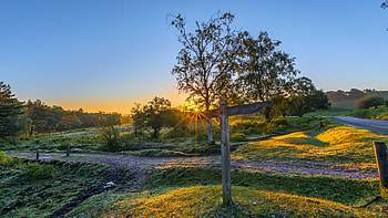 Summer Sunset, sky, hills, landscape, fields, trees, colors HD wallpaper