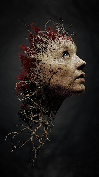 The Forest (2022) movie HD phone wallpaper