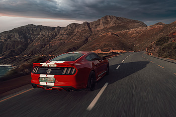 Red Ford Mustang 50 Gt Race Rear , ford-mustang, ford, cars, behance HD wallpaper