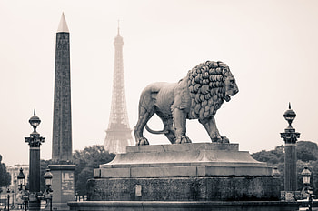 Cities, Paris, Monuments, City, Lion, France, Statue HD wallpaper