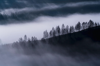 Nature, Trees, Clouds, Fog, Hills HD wallpaper