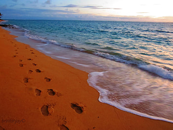 Footprints in the sand HD wallpaper