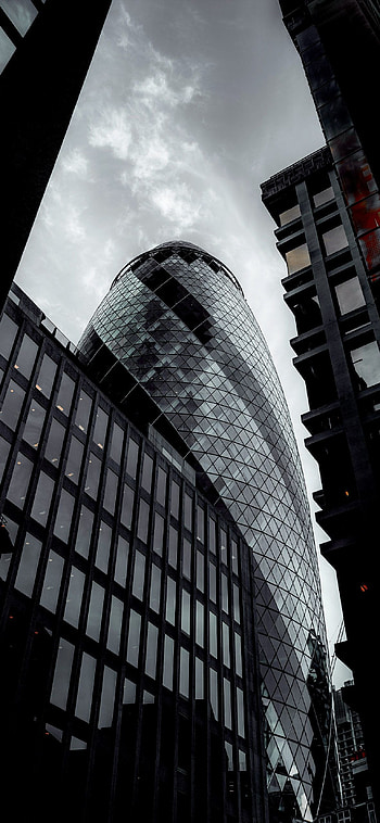 The Gherkin , Lamp post nature, , London HD phone wallpaper