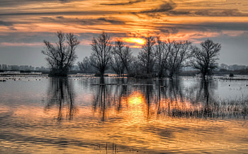 Rzeka, Drzewa, Slonca, Zachod, Odbicie HD wallpaper