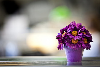 Little flowers, summer, purple, pink, yellow, flower, vase, little HD wallpaper