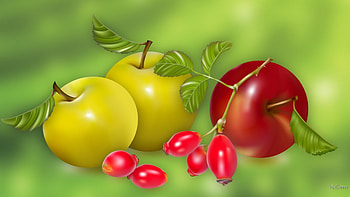 Apples and Berries, apples, green, health, berries, delicious, fruit, fresh HD wallpaper