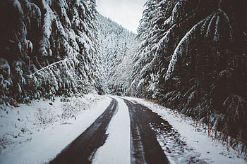 Winter, Nature, Trees, Snow, Road HD wallpaper