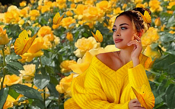 Yellow Rose, bold, girl, yellow roses, colorful, roses, vibrant, butterflies, vivid, bright, green, yellow HD wallpaper