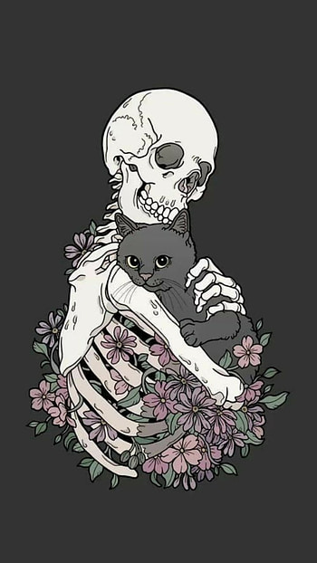 cat and skeleton HD phone wallpaper