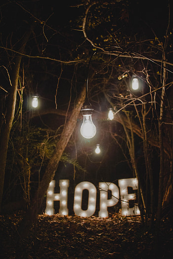 Words, Forest, Lamp, Hope HD phone wallpaper