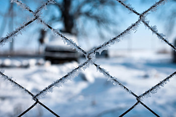 Macro, Grid, Fence, Frost, Hoarfrost HD wallpaper
