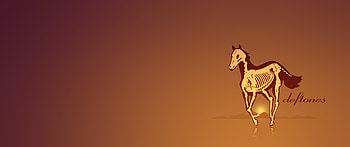 I created this Deftones Skeleton Pony Ultrawide Minimalist . Hope you dig it! HD wallpaper