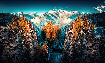 Snow Landscape Mountains Trees Forest , snow, landscape, mountains, trees, forest, nature HD wallpaper