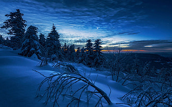 Winter morning in Switzerland, alps, snow, clouds, landscape, trees, sky HD wallpaper