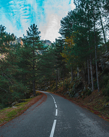 Nature, Trees, Mountains, Road, Turn, Slope HD phone wallpaper
