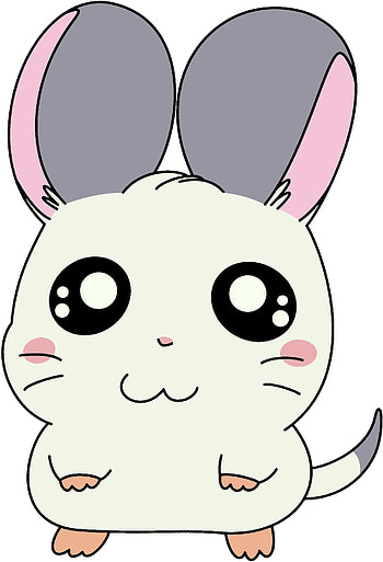 Radar, Hamtaro HD phone wallpaper