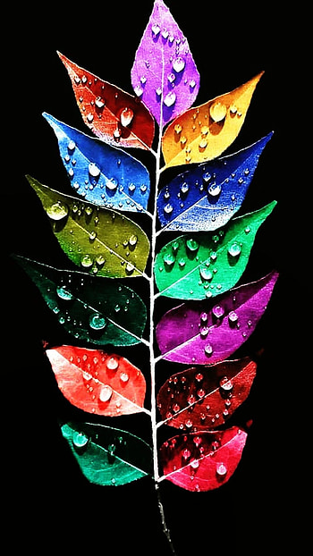 oneplus 9r creative HD phone wallpaper