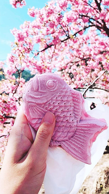 Pink Aesthetic, Toy Fish HD phone wallpaper