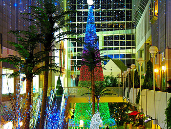 Christmas Tree, balls, beautiful, christmas light HD wallpaper
