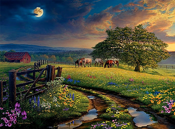 full moon, natur, horses, country, moon HD wallpaper