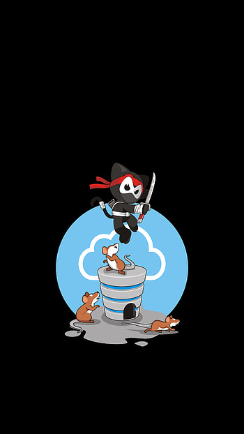 Mice, Vector, Cat, Ninja HD phone wallpaper
