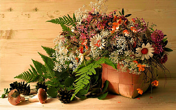 Still Life, Flower, Vase, pretty HD wallpaper