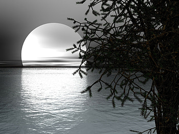 Bright Moon!, full, abstract, moon, bright HD wallpaper