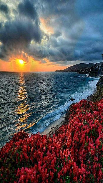 Beautiful Nature, Adorable Background HD phone wallpaper