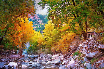 Autumn, leaves, fall, branches, beautiful HD wallpaper