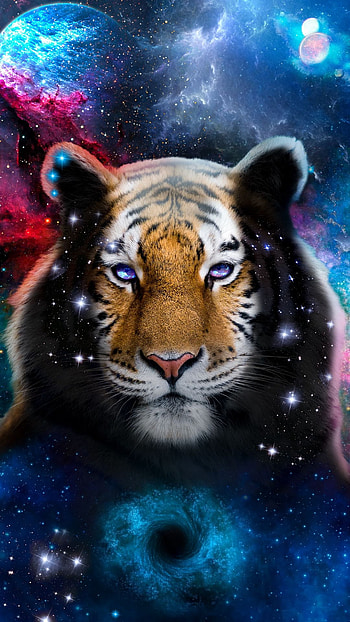 Face of the tiger, fantasy, animal, , wild, space HD phone wallpaper