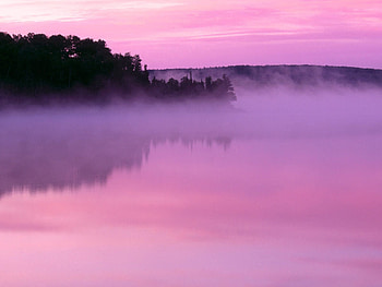 Nature, Fog, Dahl, Distance HD wallpaper