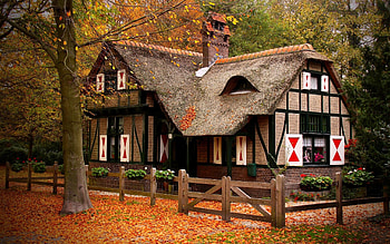 house in the woods, colorful, leaves, woods, graphy, fall, colors, autumn, nature HD wallpaper